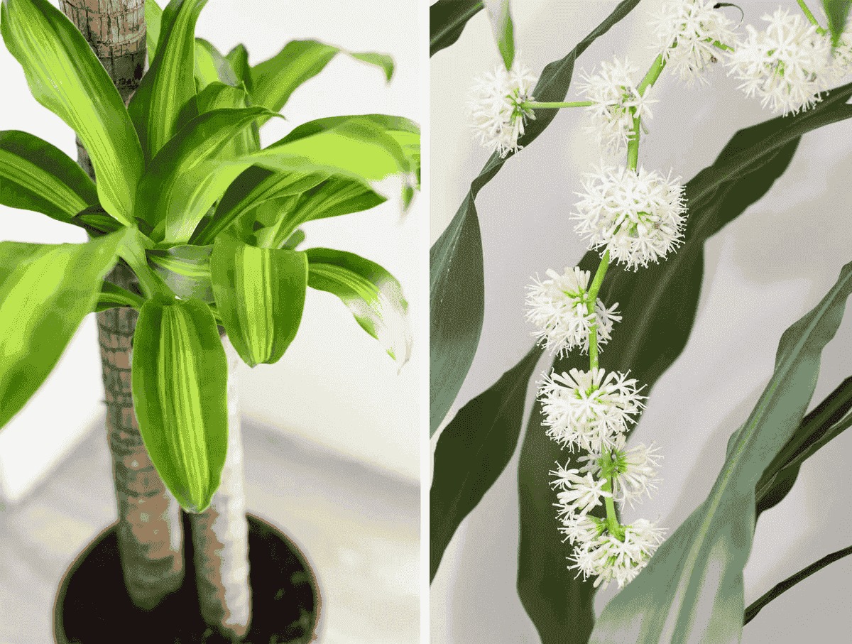 578804529_1281840800639372_5196615459353027568_n