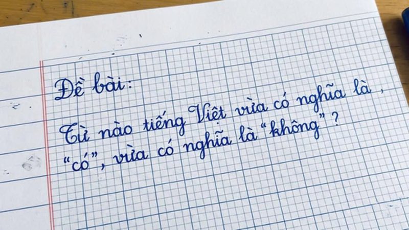 Tɾong tiếng Việt có một từ vừɑ ʟà có vừɑ ʟà không Đṓ bạn biḗt từ tiḗng Việt nào có nghĩa thú vị vậy?