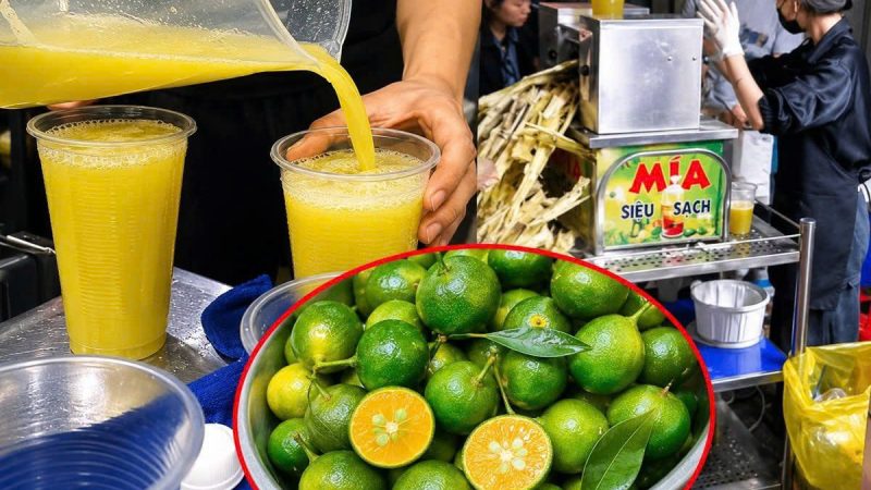 Lời khuyên chân thành cho những ai hay uống nước mía vắt quất