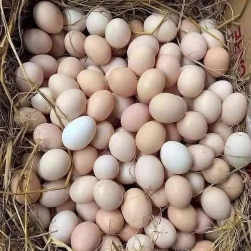 Ngừng ăn ngay 4 loại trứng này vì nguy cơ gây hại nội tạng, sức khỏe